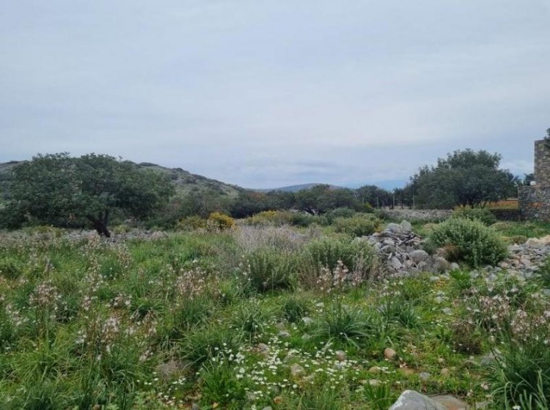 Plaka bei Elounda Kreta, Plaka Elounda: Baugrundstück mit Meerblick zu verkaufen Grundstück kaufen